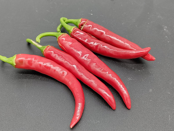 Chili Zierpflanzensamen - 8 Korn - Ring of Fire